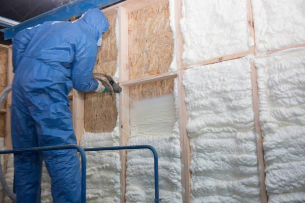 Types of Insulation We Offer in Everett, WA